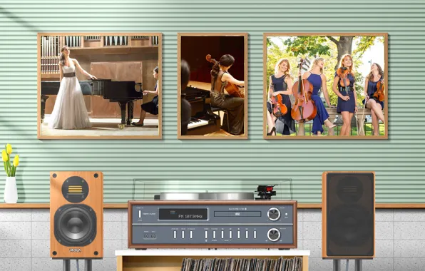 Music, dress, plan, cello, tulip, audio, speaker, record player