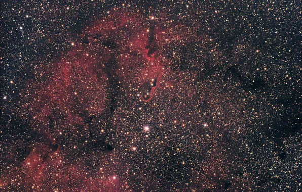 Space, stars, nebula, Elephant's Trunk, IC 1396