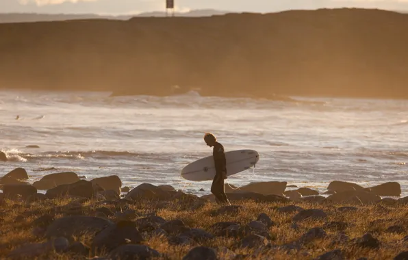 Waves, beach, surfer, surfboard, sunny, extreme sport