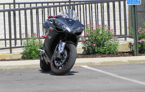 Picture Grey, YZF-R1, Front view