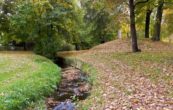 Picture autumn, water, Park, foliage, falling leaves, water, park, Autumn