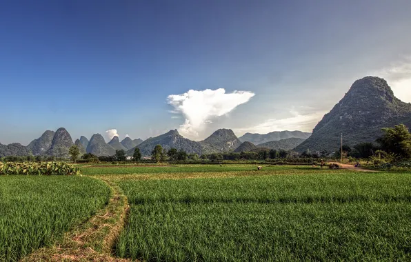 Picture field, clouds, mountains, photo, people, work, landscapes, people