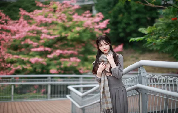 Beautiful, Asian, Model, Woman, Pretty, Scarf, Outdoor, Railing