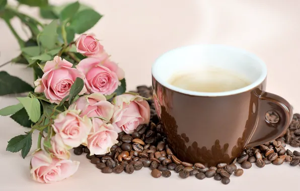 Roses, bouquet, Cup, coffee beans, DENO