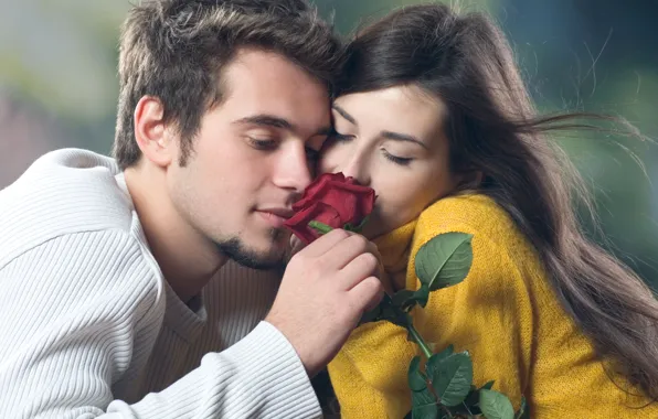 Picture girl, romance, tenderness, rose, Love, guy, relationship, red