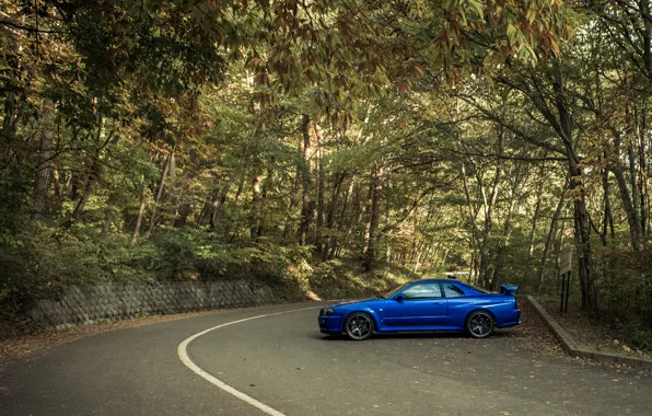 Picture blue, tuning, nissan, profile, Nissan, blue, r34, JDM