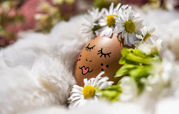 Flowers, face, eyelashes, holiday, egg, sleep, chamomile, makeup