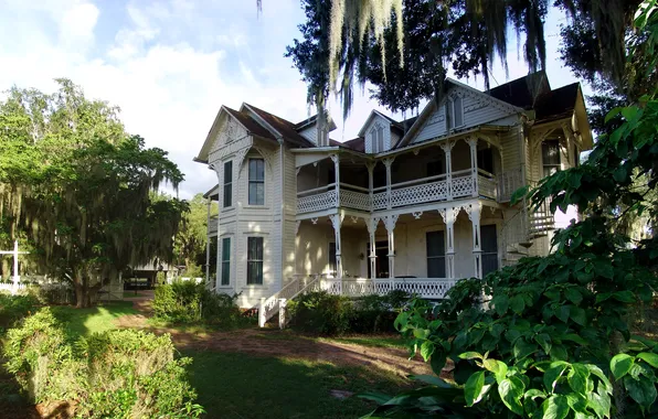 Picture greens, grass, trees, house, garden, mansion, the bushes