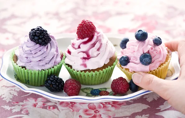 Picture berries, cream, cupcakes