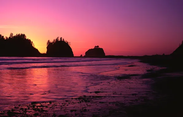 Picture sea, the sky, trees, sunset, rocks, silhouette, glow