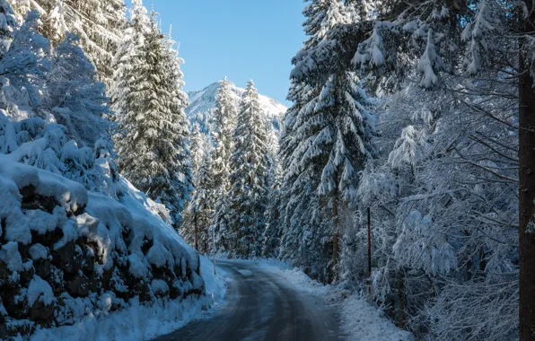 Winter, road, forest, mountains