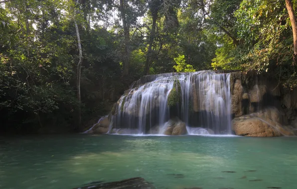 Forest, trees, nature, waterfall, pond