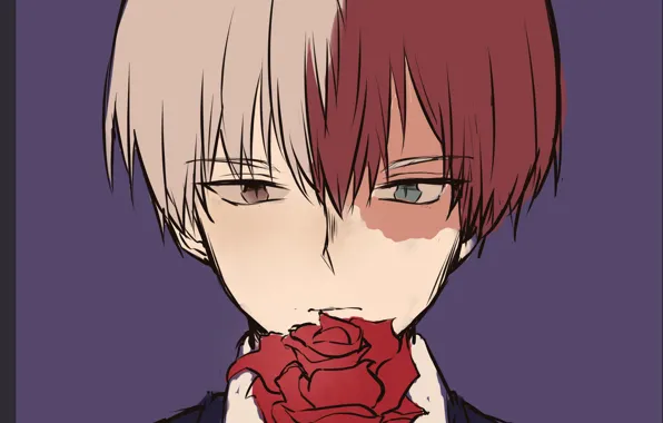 Rose, My Hero Academia, Boku No Hero Academy, Todoroki Shoto, My Hero Academy