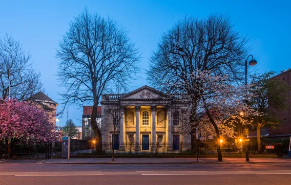 Picture road, the sky, trees, lights, street, the evening, lights, Church