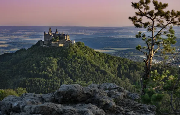 Picture landscape, nature, stones, castle, mountain, Germany, forest, Sigmaringen