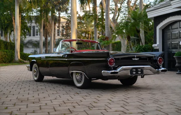 Ford, Ford, 1957, retro cars, Thunderbird, retro cars, Ford Thunderbird E-Code, E-Code