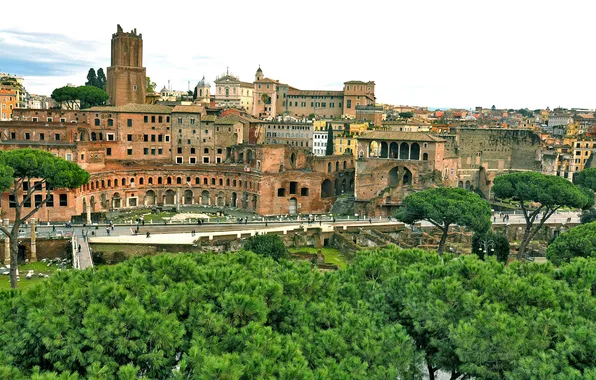 The sky, trees, home, Rome, Italy, Forum