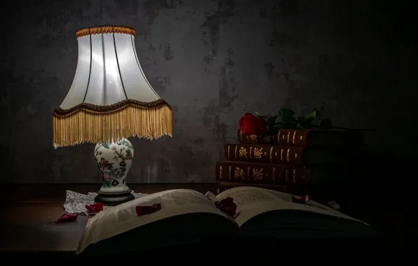 Flower, light, the dark background, table, wall, rose, books, lamp