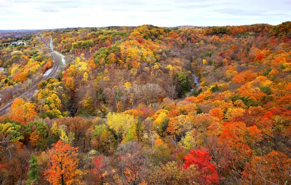 Road, autumn, forest, trees, river, rails, Canada, Ontario