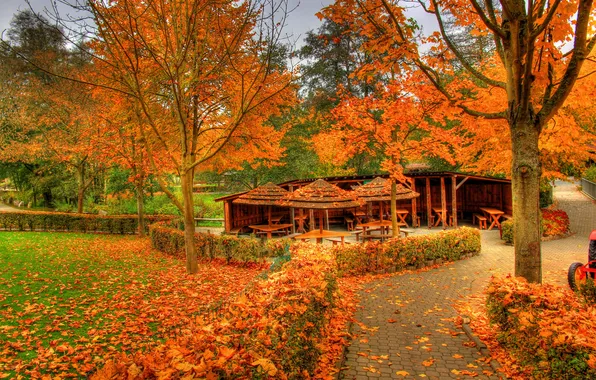 Picture autumn, leaves, trees, Park, Germany, gazebo, Saalburgstr