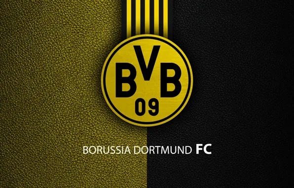Football, Soccer, Borussia Dortmund, BVB, Dortmund, German Club