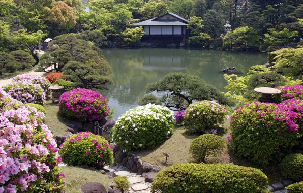 Picture flowers, house, Japanese garden