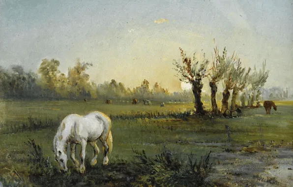 Picture landscape, picture, Camille Pissarro, Camille Pissarro, White horse on the Meadow