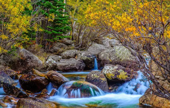 Picture stones, river, autumn, forest, trees