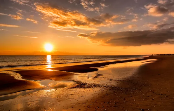 Beach, the sun, the ocean