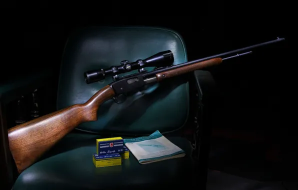 Picture optics, the gun, 121, Remington