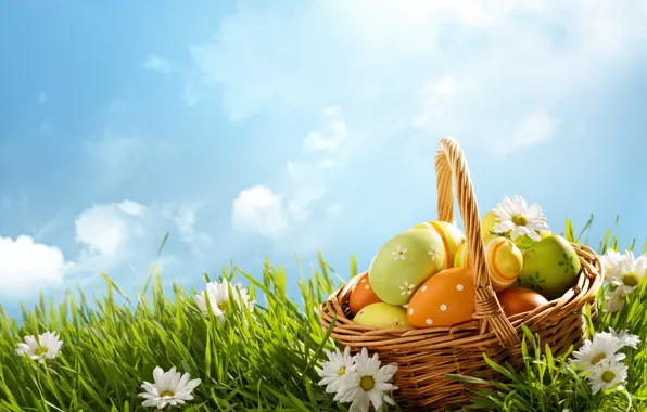 The sky, grass, the sun, flowers, basket, chamomile, spring, Easter