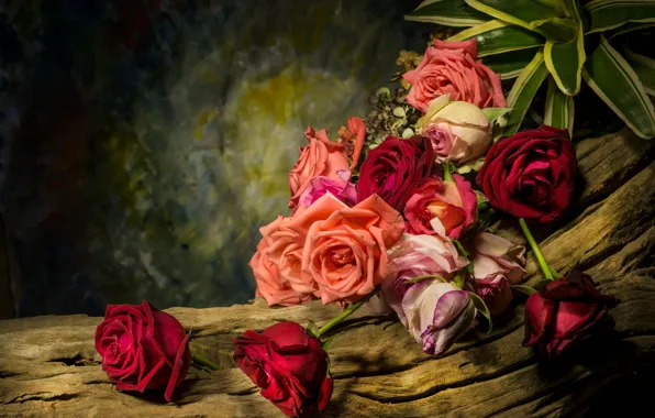 Picture leaves, roses, snag, still life, tree, flowers