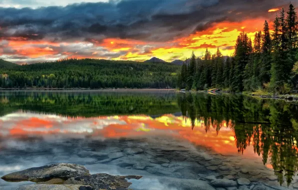 Picture forest, sunset, lake, reflection, the bottom, Canada, Albert, Alberta