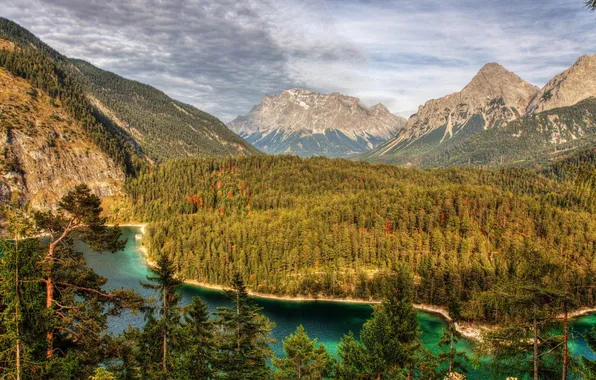 Picture forest, trees, mountains, lake, panorama