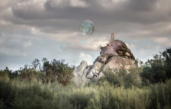 Picture bubbles, background, snail