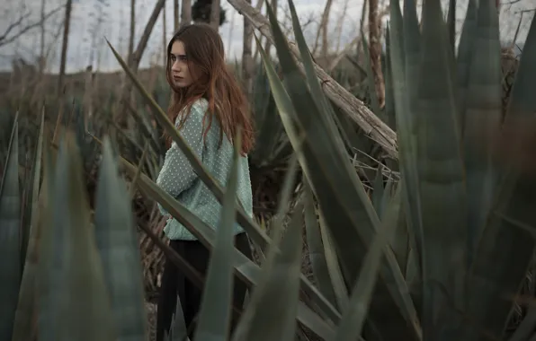 Picture greens, girl, nature, walk