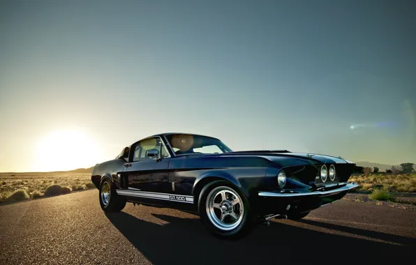 Picture the sun, rays, desert, Mustang, Ford, Shelby, Mustang, gt 500