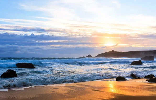Picture sea, nature, shore, morning