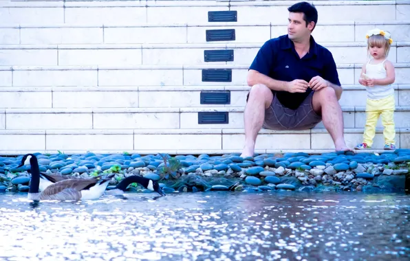 Water, birds, stones, girl, male, geese