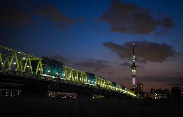 The sky, bridge, tower, night city