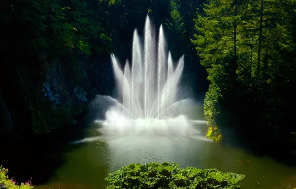 Picture trees, Park, Canada, fountain, British Columbia