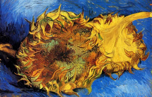 Picture sunflower, Vincent van Gogh, vincent87, Two Cut Sunflowers 3