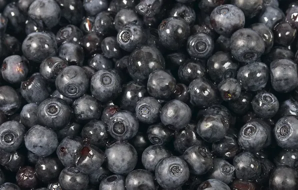 Macro, blueberries, berry