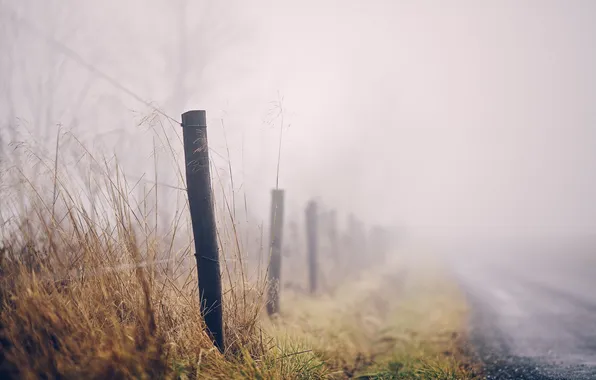 Fog, the fence, ROAD
