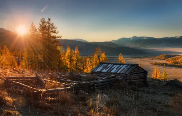 Field, forest, the sun, rays, light, mountains, morning, haze