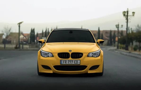 Picture Yellow, E60, M5, Front view