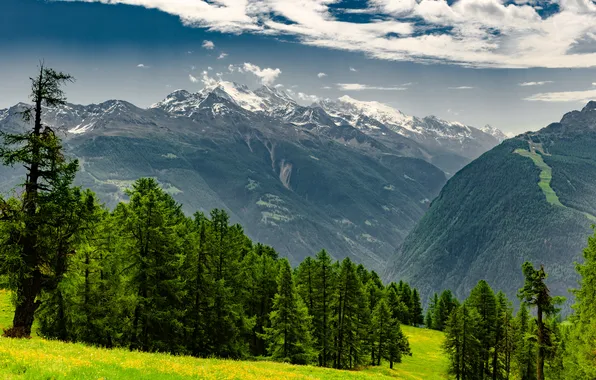 Forest, mountains, the slopes, haze