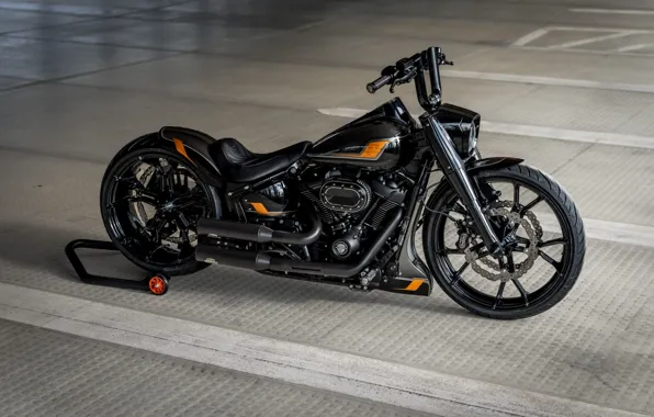 Picture Harley Davidson, Tuning, Softail, Bikes, Customized, Fat Boy, 114, Thunderbike