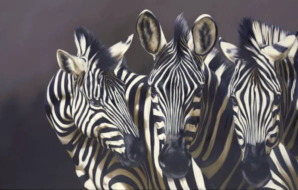 Animals, strips, background, picture, art, muzzle, Zebra, Robina Yasmin