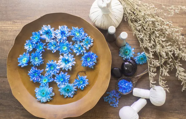 Flowers, stones, chrysanthemum, Spa, bags